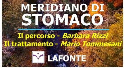 copertina Meridiano di Stomaco